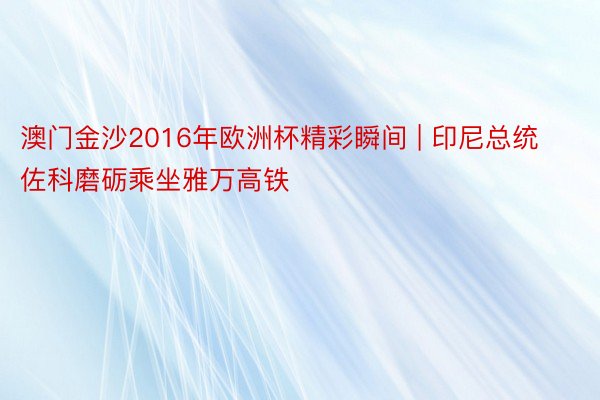 澳门金沙2016年欧洲杯精彩瞬间 | 印尼总统佐科磨砺乘坐雅万高铁